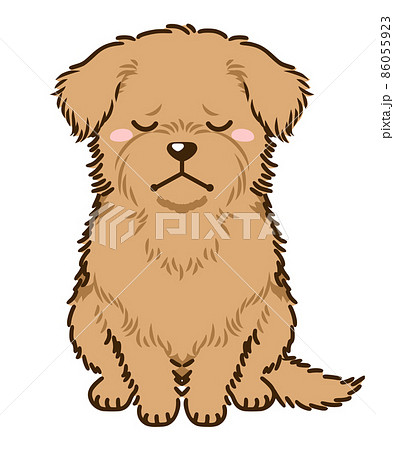 落ち込むノーフォークテリア 86055923