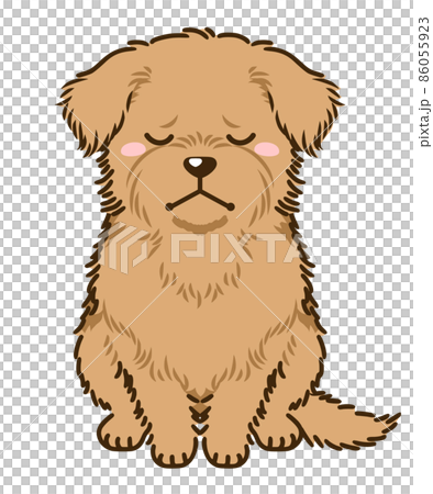 沮喪的諾福克梗 86055923