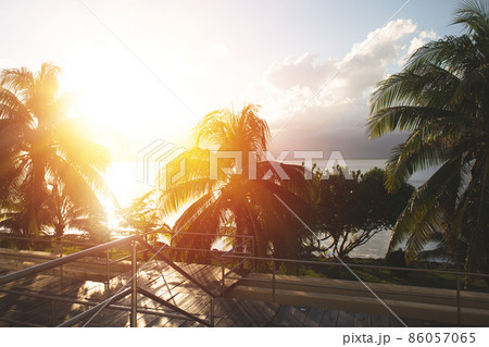 View on caribbean nature with palm trees and tropical lake Nichupte lagoon, Cancun . 86057065