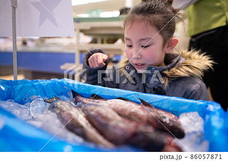 鮮魚売り場で魚を選ぶ少女 86057871