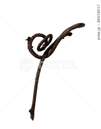 つる草の枯れ枝素材 86058017