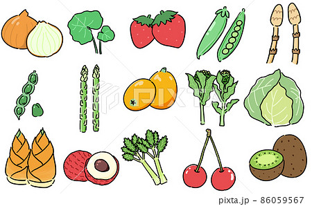 春に美味しい旬の野菜や果物や山菜のイラストのイラスト素材