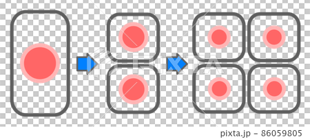 細胞が分裂して増殖するイラスト 86059805