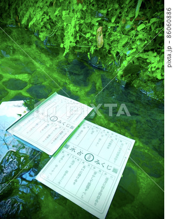 貴船神社の水占みくじの大吉と中吉 86060886