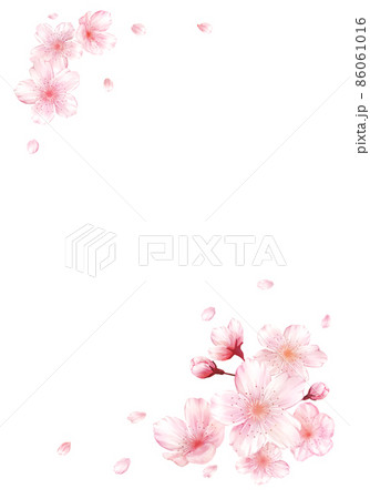 桜と花びら(縦） 86061016