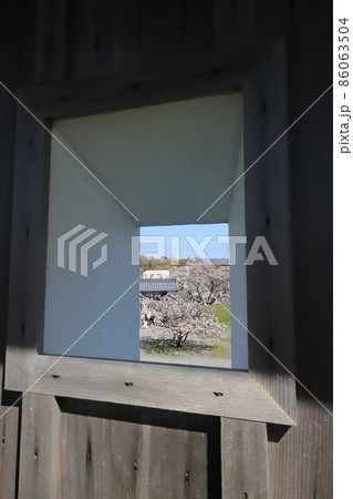 北海道 松前 春の松前城 北海道 松前 春の松前城 86063504