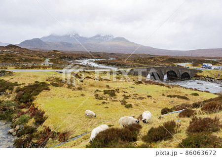 Beautiful country side with sheep walking around Beautiful country side with sheep walking around 86063672