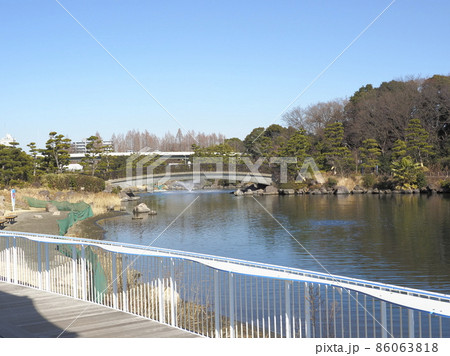 しながわ水族館 しながわ区民公園 しながわ水族館 しながわ区民公園 86063818