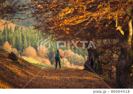 Female Hiker on Country Road Near Mountain Forest 86064418