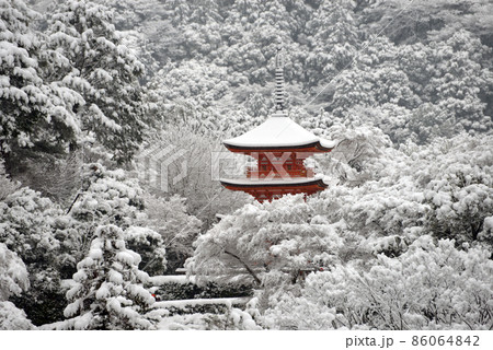 雪の清水寺 子安塔遠望 京都市東山区 雪の清水寺 子安塔遠望 京都市東山区 86064842