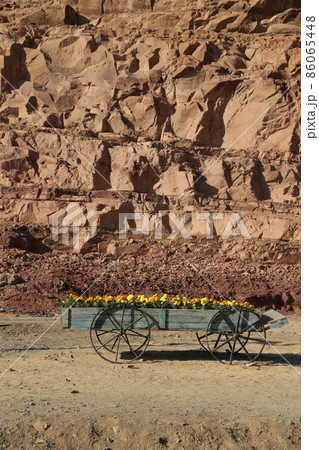 the old history the old history 86065448