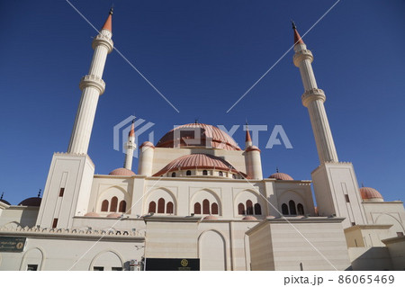 the old history 86065469