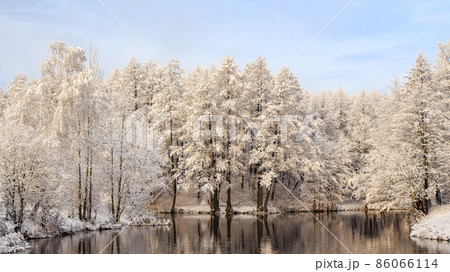 Park with snow-covered trees in winter. The river Svisloch Park with snow-covered trees in winter. The river Svisloch 86066114
