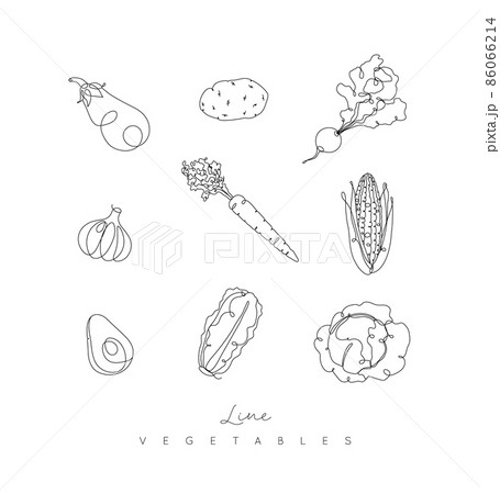 Vegetable icons in pen line style Vegetable icons in pen line style 86066214