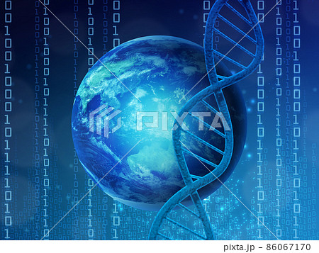 遺伝子（DNA） 86067170