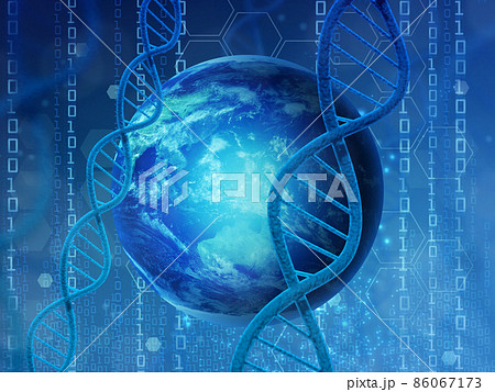 遺伝子（DNA） 86067173