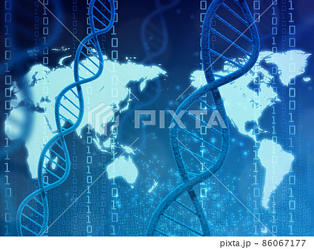 遺伝子（DNA） 86067177