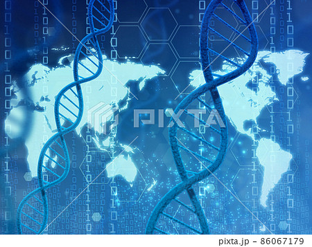 遺伝子（DNA） 86067179
