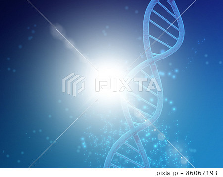 遺伝子（DNA） 86067193
