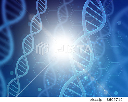 遺伝子（DNA） 86067194