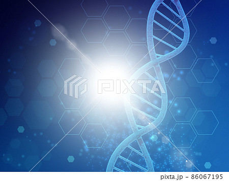 遺伝子（DNA） 86067195