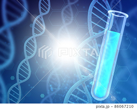 遺伝子（DNA） 86067210