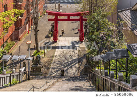 [東京・愛宕] 愛宕神社の出世の石段が見下ろす赤い鳥居の前に会釈をする女性 86069096