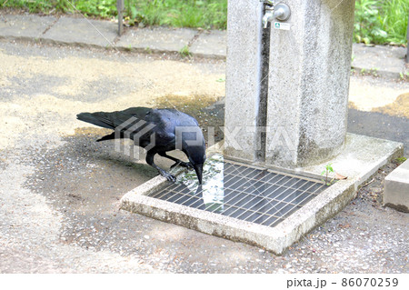 水分補給 水分補給 86070259