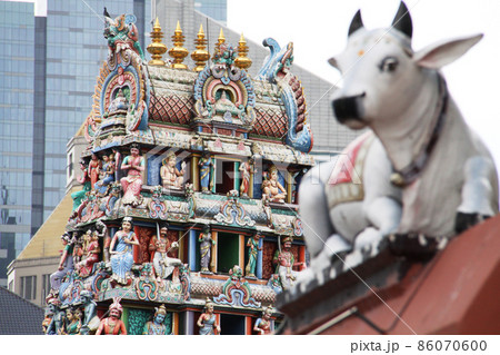 スリ・ヴィラマカリアマン寺院の神様像と白牛の像 シンガポール スリ・ヴィラマカリアマン寺院の神様像と白牛の像 シンガポール 86070600