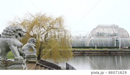 lake and greenhouse of Kew garden in London, UK 86071629