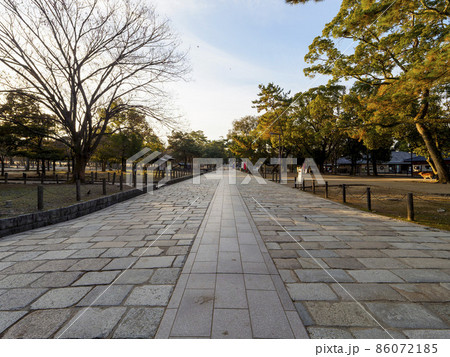 東大寺大仏殿の参道 東大寺大仏殿の参道 86072185