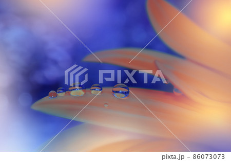 Beautiful Macro Photo.Dream Flowers.Border Art Design.Magic Light.Close up Photography.Conceptual Abstract Image.Blue and Orange Background.Fantasy Floral Art.Creative Wallpaper.Beautiful Nature. Beautiful Macro Photo.Dream Flowers.Border Art Design.Magic Light.Close up Photography.Conceptual Abstract Image.Blue and Orange Background.Fantasy Floral Art.Creative Wallpaper.Beautiful Nature. 86073073