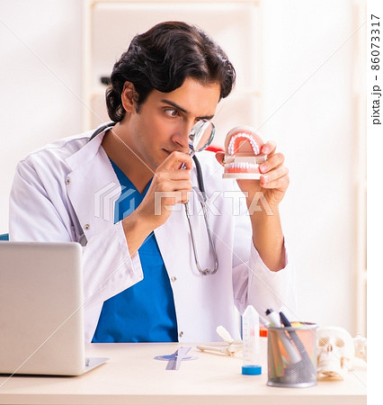 The young male doctor stomatologist with dentures The young male doctor stomatologist with dentures 86073317
