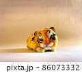 モフモフなかわいい虎の赤ちゃん　正面 86073332