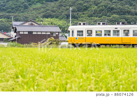 【ことでん】田畑を疾走する1100形 【ことでん】田畑を疾走する1100形 86074126