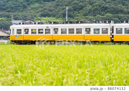 【ことでん】田畑を疾走する1100形 【ことでん】田畑を疾走する1100形 86074132