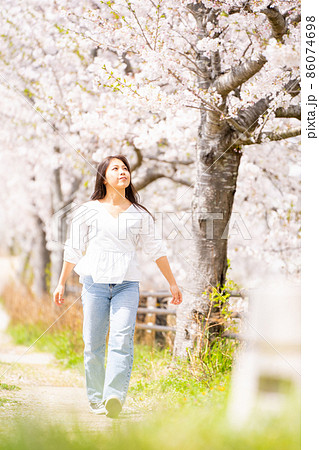 女性　桜並木　散歩 86074698