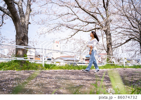 女性 桜並木 散歩 女性 桜並木 散歩 86074732