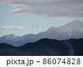 大山とコハクチョウ 86074828
