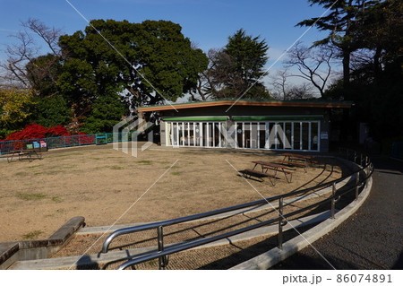 野毛山動物園　ひだまり広場 86074891