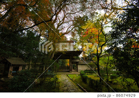 彦根　龍潭寺（だるま寺）　2021秋 86074929