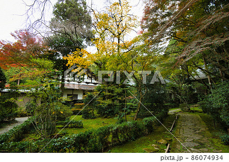 彦根 龍潭寺(だるま寺) 2021秋 彦根 龍潭寺(だるま寺) 2021秋 86074934