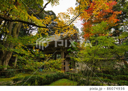 彦根 龍潭寺(だるま寺) 2021秋 彦根 龍潭寺(だるま寺) 2021秋 86074936