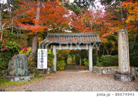 彦根　龍潭寺（だるま寺）　2021秋 86074943