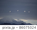 コハクチョウと大山 86075024