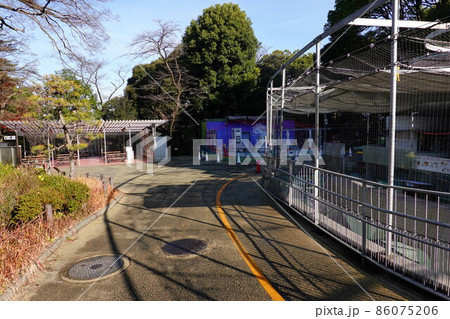 野毛山動物園 86075206