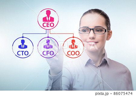 Businesswoman in the organisation chart concept 86075474