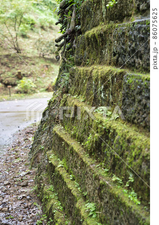 苔むした擁壁 86075625