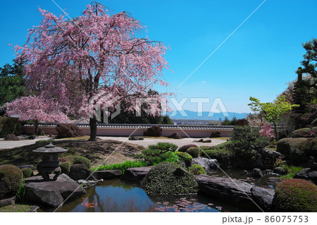 正法寺　庭園　大原野　京都 86075753
