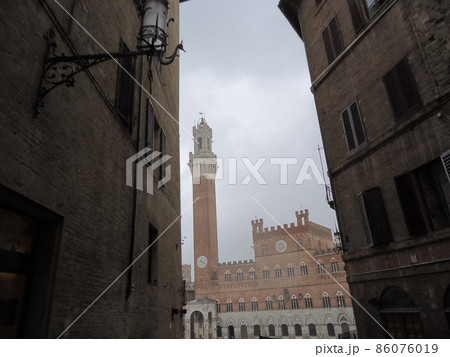 シエーナ 86076019